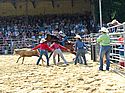 Breakaway Calf Roping