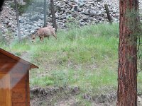 Besuch hatten wir auch