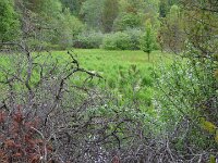 mehr Eindrücke am Kokanee-Lake