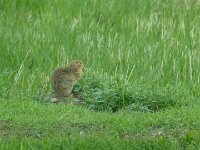 Auf gehts in den Banff National Park