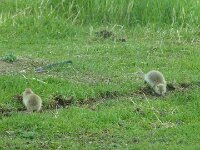 auf dem Weg dahin allerlei zu sehen