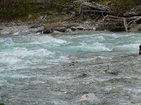 Kootenay National Park