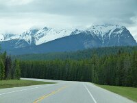 des gefahrenen Wegs zurück . . .