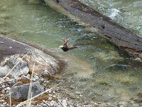 was immer das sein soll - aber schön aussehen tut es