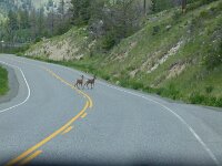 dann laufen mal wieder ein paar