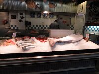 mit großen und kleinen Fisch