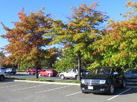 Einkauf vor dem ersten Campground