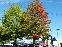 Eindrücke beim Spaziergang durch Duncan