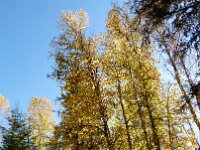 Wells Gray Golf And RV Park