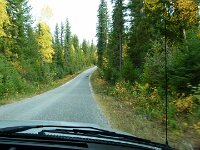 auf der Fahrt im Park ein Reh uuuund