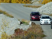 wir sind nicht allein unterwegs