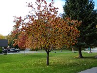 zu unserem Stellplatz