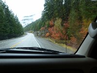 unseren ersten Schwarzbären live