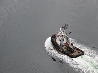 diesmal auf einem Campground im Norden. Von da aus gehen wir tags darauf über die Lions Gate Bridge (1823 m lang, lichte Höhe 61m)