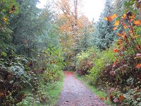 um Vancouver zu Fuß zu erkunden