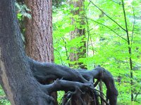 aber überhaupt nicht langweilig