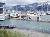 P1000936 20170617 170853