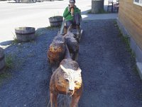 P1000936 20170617 171948