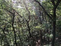 Rundweg bei Niederfell