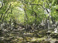 Rundweg bei Niederfell