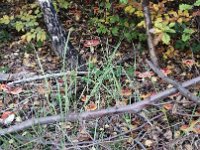 NR2 am 31.10 - schön, aber gefährlich