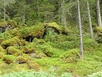 Krimmler Wasserfälle