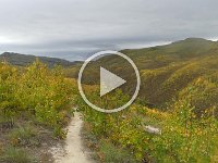 220909 frisches-Windchen