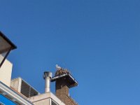 Davon gab's noch mehr