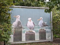 PXL 20231001 090014026