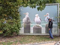 PXL 20231001 090028437