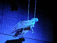 20240615 143651 Dementor