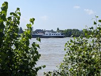 240607-082516 Rhein-bei-Engers