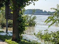 240607-082645 Rhein-bei-Engers