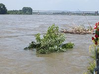 240607-082757 Rhein-bei-Engers