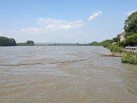 240607-082819 Rhein-bei-Engers