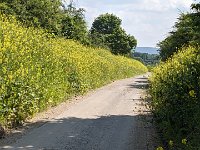 240607-090434 FlowerPower