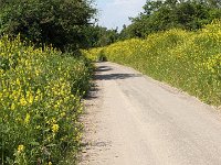 240607-090540 FlowerPower