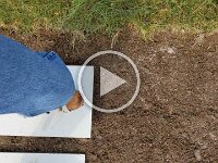 Insektenblumenbeet 20240227-3 Aussaat-festigen