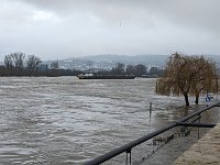 PXL 20240106 102202964