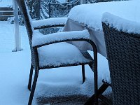 PXL 20240118 071025833