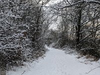 PXL 20240119 102950418