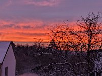 PXL 20240121 070951872