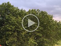 20250606 203644 Neo letzter-Abend