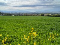 20250421 100840 Blickrichtung-Koblenz