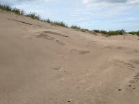 viel Sand