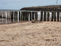 Cadzand-Bad 260605-12