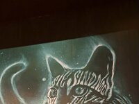 die hat scheinbar auch ein Geheimnis