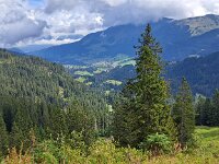 Aussichtspunkt