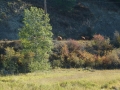 pic-p1080544