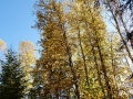 pic-p1080799